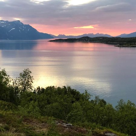 Aaroybukt Guesthouse Aroybukta Kültér fotó