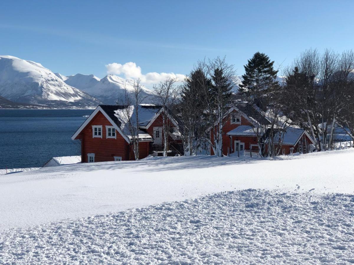 Aaroybukt Guesthouse Aroybukta Kültér fotó